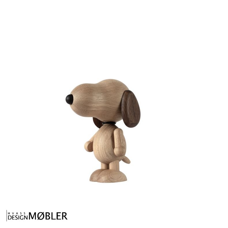 Boyhood | Snoopy Small