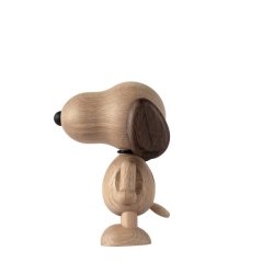 Boyhood | Snoopy Small